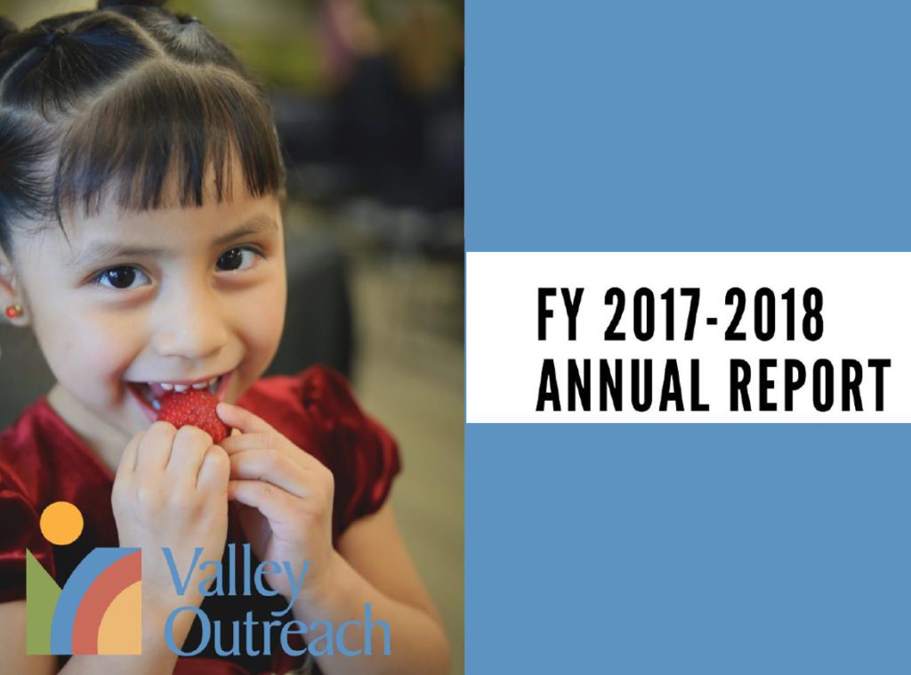 Annual Impact Report 2017-2018