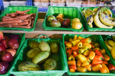 A variety of fresh vegetables